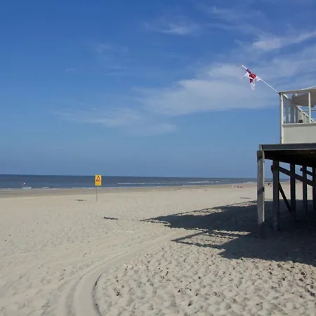 Zongezwier