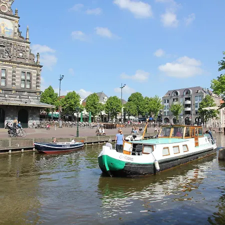 Zongezwier *